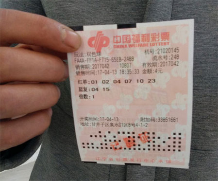 英语老师的小兔子