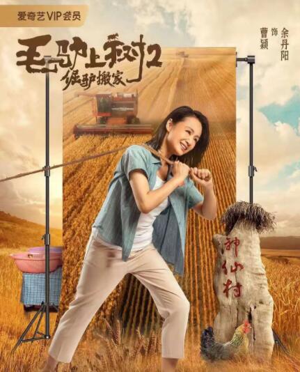 男女刺激大片免费观看网站