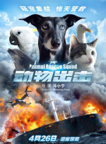 观测人