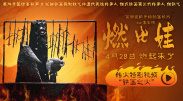 手机在线色视频
