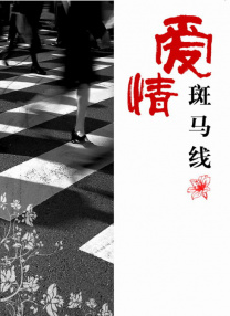 国产69久久精品成人看