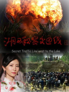 爱罗导演的良心告白