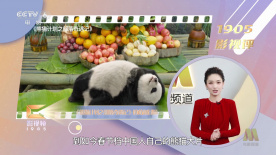 日韩午夜在线观看